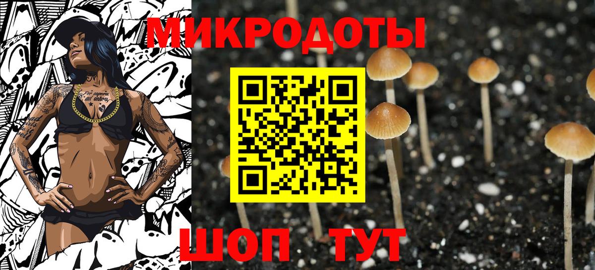 Галлюциногенные грибы Cubensis  Вход с VPN  Галлюциногенные грибы Psilocybine cubensis  Будённовск 