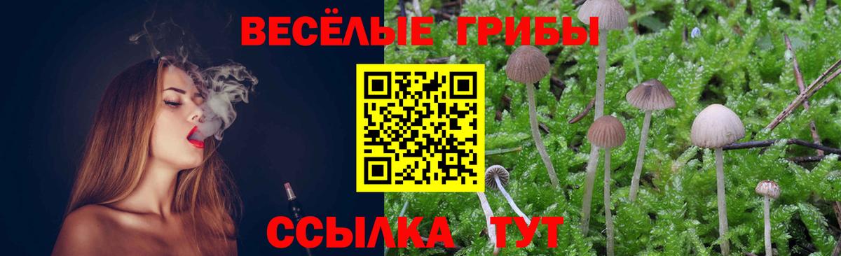 Псилоцибиновые грибы MAGIC MUSHROOMS Будённовск